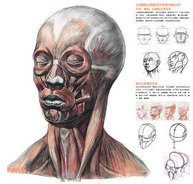 肌理质感美术作品图片,肌理质感美术图片大全