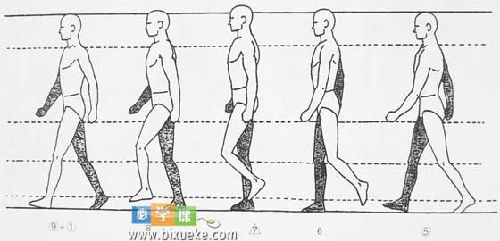人物的走路动作画法