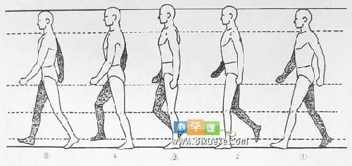 人物的走路动作画法