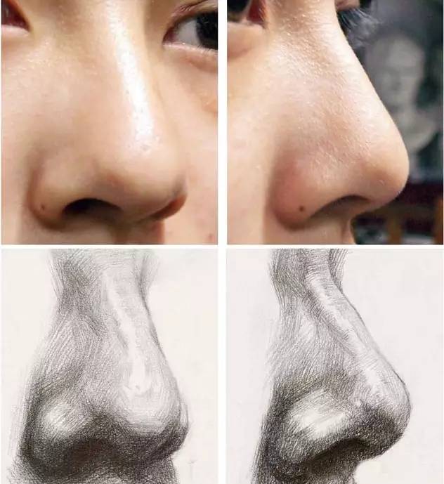 4 ) 全侧面角度鼻部表现规律:侧面鼻子的正,侧,底面的白,灰,黑关系