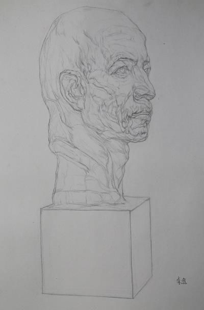 线性素描石膏像
