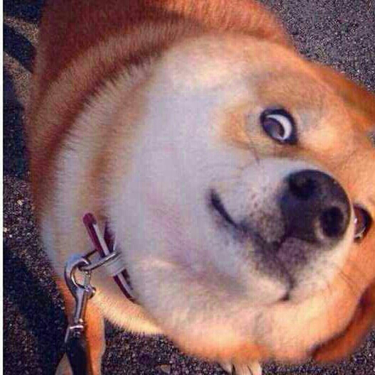 【当前标签:郑州轻工业学院艺术类2017录取分