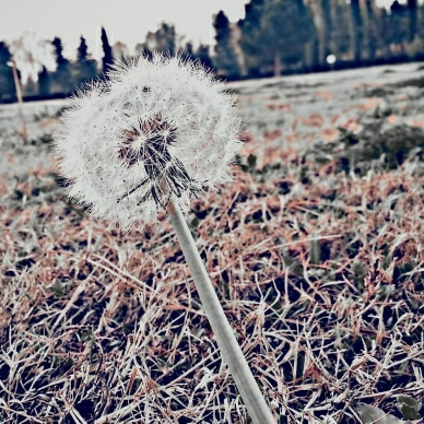 【当前标签:向阳素描第二季百度云】