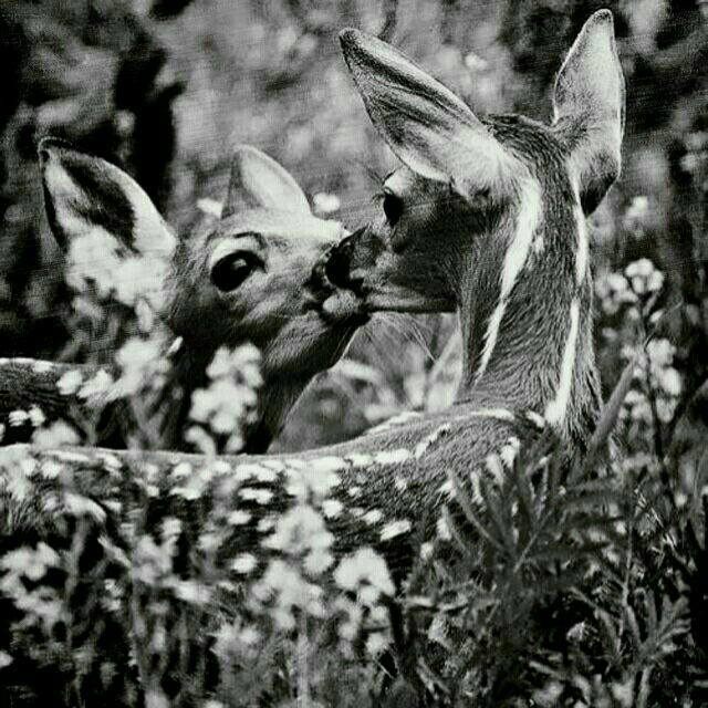 【当前标签:美术考研冷门专业排名】