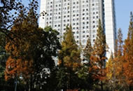 南京林业大学